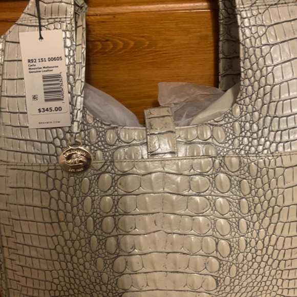 New Brahmin - Picture 6 of 9